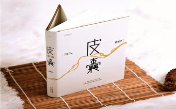 皮囊读后感模板8篇