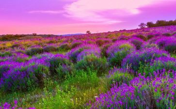 破与立作文优质7篇