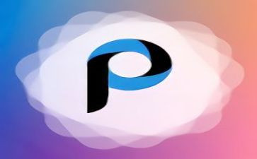 p图观后感优质6篇