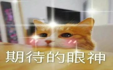 我期待作文400字模板7篇
