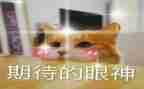 我期待作文400字模板7篇