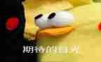 我期待作文400字最新7篇