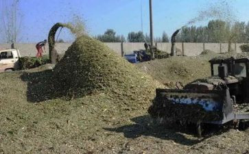 青储买卖合同8篇