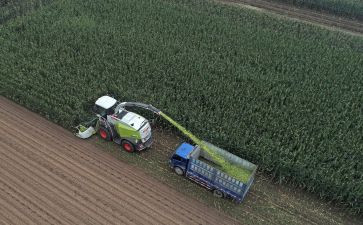 青储买卖合同通用8篇