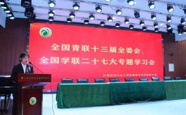 全国青联十三届观后感8篇