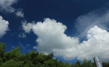 写雨后晴天的作文7篇