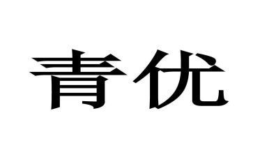 市青优教师述职报告优质5篇