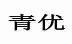 市青优教师述职报告优质5篇