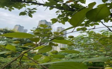 亲近自然作文模板5篇