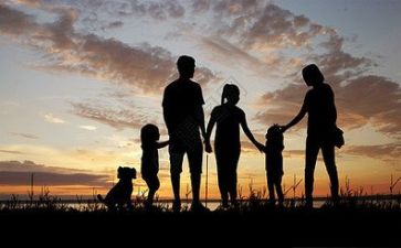 亲情是_作文优秀5篇