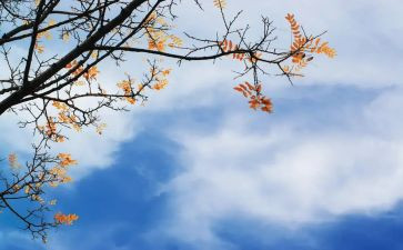 小学生中秋节作文200模板6篇
