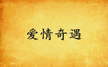 奇遇木偶记读后感100字7篇