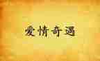 奇遇木偶记读后感参考8篇