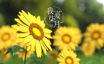 2023年七月工作计划8篇