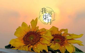 幼儿园大班七月份工作月总结8篇