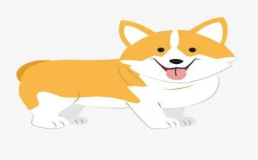 《警犬拉拉》读后感7篇