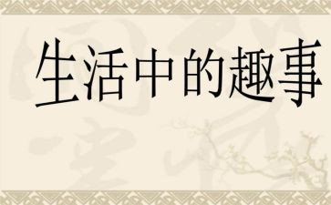 端午节趣事作文8篇