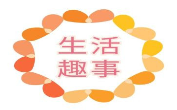 端午趣事作文500字6篇