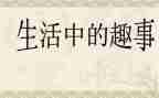 端午节趣事作文8篇
