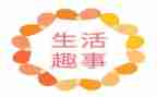 端午趣事作文500字6篇