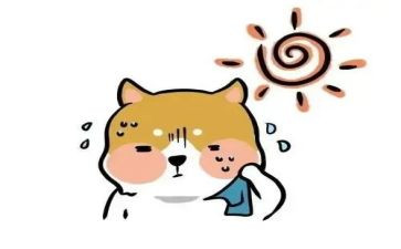 热四年级作文模板7篇