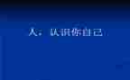 认识树教案科学教案7篇