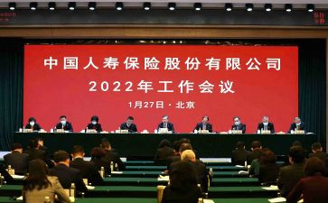 中国人寿工作总结5篇