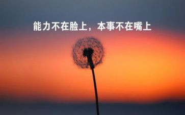 实训个人心得体会范文5篇