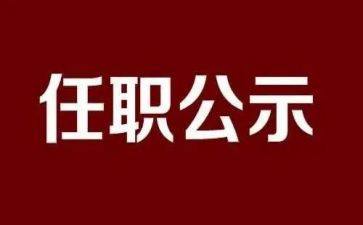 任职表态发言稿范文6篇