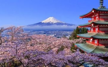 日本书的读后感优秀8篇