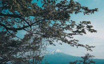 日本书读后感精选5篇