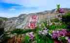 日照作文400字6篇