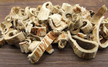 桑白皮汤心得体会8篇