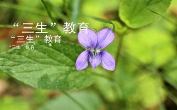 初三生物教师工作总结5篇