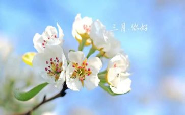 初三月考作文推荐6篇