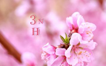 三月植树节演讲稿8篇