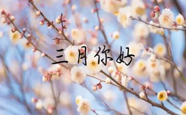 中班三月份周工作计划8篇