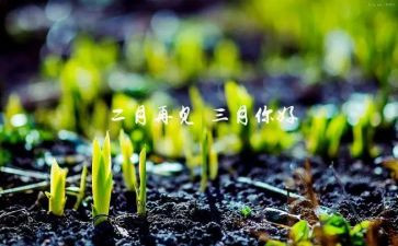 三月份活动方案5篇