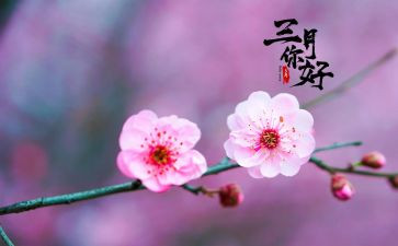 三月份讲话稿7篇