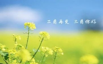 小班三月份月工作总结8篇