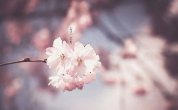 初三月考作文参考5篇