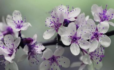 幼儿小班三月份工作总结7篇