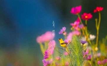初三月考作文精选8篇