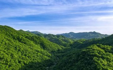 兰山墙的安妮读后感8篇
