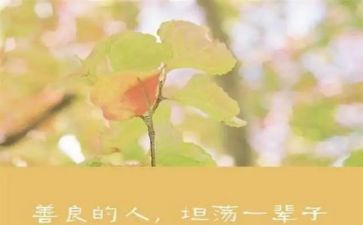 申请慈善申请书6篇