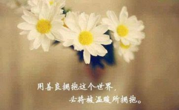 创老年友善医疗机构工作计划8篇