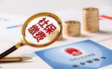 社保工作总结及2023年工作计划8篇