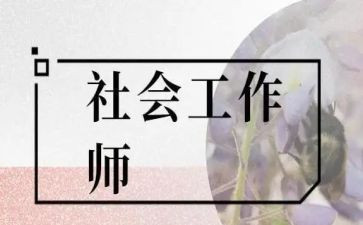 社工2024年度工作总结8篇