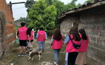 社会活动作文300字优质7篇