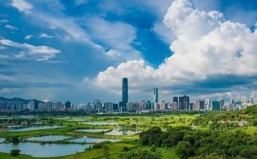 深圳中考作文8篇